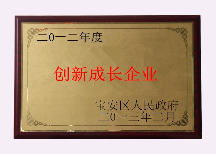 創(chuàng)新成長企業(yè)獎